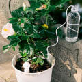 Miniatyrbillede 6 af 7: Automatisk drypvander blomstervander - Multipack - Perfet