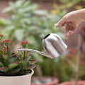 Miniatyrbillede 5 af 5: Mini vandkande med lang tud til potteplanter i haven - Perfet