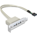Pikkukuva 2 / 2: DeLOCK Slot bracket USB 2.0 low profile 2 port