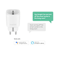 Miniatyrbillede 6 af 10: Hombli EU Smart Socket White