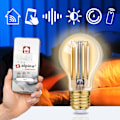 Miniatyrbillede 5 af 6: Alpina WiFi Smart E27 LED Varm Vit 5,5W