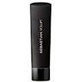 Pikkukuva 2 / 2: Sebastian Professional Volupt Shampoo 250ml