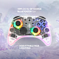 Miniatyrbild 6 av 11: DELTACO Nintendo Switch Controller, transparent, RGB, makroknappar