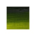Miniatyrbillede 1 af 4: WINSOR Artists oil colour 200ml sap green 599