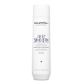 Miniatyrbillede 2 af 2: Goldwell Dualsenses Just Smooth Taming Shampoo 250ml
