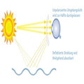 Miniatyrbillede 5 af 7: Urbanium Terra Polarizing Bifocal Plus 3,0
