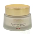 Pikkukuva 2 / 4: Ahava Halobacteria Restoring Nutri-Action Cream 50 ml