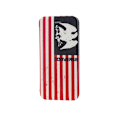 Pikkukuva 2 / 5: Converse Case Canvas iPhone 6/7/8/SE USA Flerfärgad
