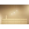Miniatyrbillede 8 af 9: WiZ WiFi Smart LED E27 G95 40W Filament Färg + Varm-kallvit 470lm