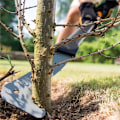 Pikkukuva 4 / 4: Fiskars Röjkniv L WoodXpert XA23
