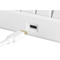 Miniatyrbild 5 av 5: WHITE LINE WK85R Mechanical keyboard, 60% layout, red switches, white