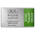 Pikkukuva 3 / 3: Prof Water Colour Pan/W Perm Sap Green 503
