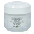 Pikkukuva 1 / 4: Sisley Restorative Facial Cream With Shea Butter 50 ml Day And N ight/All Skin Types