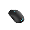 Miniatyrbillede 5 af 7: QPAD Gamingmus DX900