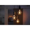 Pikkukuva 5 / 10: Philips Hue White Filament E27 Globe G93