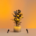 Miniatyrbillede 7 af 9: WiZ WiFi Smart LED Spotlight Färg + Varm-kallvit 12V Startkit