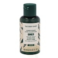 Miniatyrbillede 1 af 2: The Body Shop Conditioner 60 ml Ginger