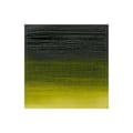 Pikkukuva 2 / 4: Prof Acrylic 200ML PERMANENT SAP GREEN 503