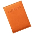 Miniatyrbild 1 av 3: Fodral till Pass - Orange