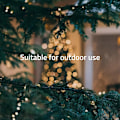 Pikkukuva 7 / 9: Hombli Smart Christmas Light LED String 20m IP44