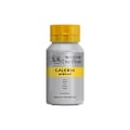 Miniatyrbillede 3 af 5: WINSOR Galeria Acrylic 500Ml Silver 617