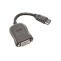 Pikkukuva 2 / 2: Lenovo 45J7915 videokabeladapter 0,2 m DVI-D DisplayPort
