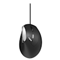 Pikkukuva 1 / 4: Rapoo Hiiri EV200 USB Langallinen Optical Musta