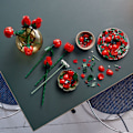 Miniatyrbillede 10 af 11: LEGO Botanical 10328  - Bouquet of Roses