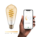 Pikkukuva 7 / 10: Hombli Smart Lampa Glödtråd E27 ST64-Bärnsten CCT