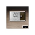 Miniatyrbild 1 av 3: Prof Water Colour Pan/W Sepia 609