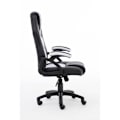 Pikkukuva 4 / 9: RAPTOR Gaming Chair GS-40 Compact, PU+Fabric, Black/White