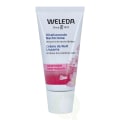 Miniatyrbillede 1 af 4: Weleda Wild Rose Smoothing Night Cream 30 ml All Skin Types