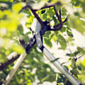 Miniatyrbillede 3 af 5: Fiskars PowerGear X grensax LX94 M