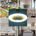 Pikkukuva 5 / 5: 10 tuuman LED-kattovalaisin tuulettimella (valkoinen), E27 36W himmennettävät kattotuuletinvalot, hiljainen valkoinen{DH}