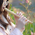 Pikkukuva 2 / 5: Recorder Kid Sopraanonokkahuilu, saksalainen tyyli, C-duuri, 8 reikää, puinen nokkahuilu