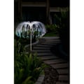 Miniatyrbilde 4 av 5: Hagelampe Solcelle - Fiberoptisk lampe Flerfarget