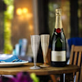 Miniatyrbillede 2 af 4: Bryllups- og festartikler, genanvendelige klare champagneglas 200 ml, premium kvalitet plastikvinglas til alle festligheder, guldglimmer