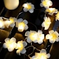 Pikkukuva 5 / 7: Led-koristevalot Frangipani-lamppu kukka keijuvalot【DH】