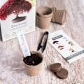 Pikkukuva 2 / 2: 3 Bonsai-saksen setti – Teräksinen bonsai-työkalu – Puutarha – Bonsai-sakset bonsain ja kasvien hoitoon – Bonsain leikkaus ja karsiminen