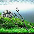 Miniatyrbilde 3 av 8: Akvarium Terrarium Saks Karbonisert Rustfritt Stål Svart