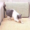 Miniatyrbillede 2 af 5: Kradsemåtte i sisal til katte, kradsebræt til at hvæsse kløer, skraber til katte, kattetræ, kattelegetøj, måtter til stol, bord og sofa (1 stk., brun)