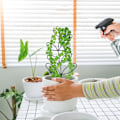 Miniatyrbillede 1 af 6: Klatrestativ i smedejern til vinstokke - Hvidt spidst espalier
