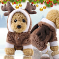 Miniatyrbilde 1 av 2: Tegneserie-transformasjonsklær for kjæledyr til små og mellomstore hunder, hundeklær, katteklær, høst- og vinterklær i bomull for firbeinte Brown elk M