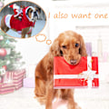 Miniatyrbild 6 av 8: Juldräkter för husdjur Tomte Riddräkt Renväxlare Juldräkter för husdjur Red and black XL chest size adjustable 64-80cm