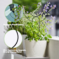 Miniatyrbilde 5 av 6: Menneskeformet klatrestøtteramme for planter