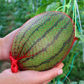 Miniatyrbilde 5 av 5: 100 stk 40 cm Egg-salgs Emballasje Oppbevaringspose Handlepose Nettpose red
