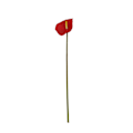 Miniatyrbilde 1 av 4: 3D-simulering av Flamingo Anthurium Blomsterbuketter for Stueoppsett