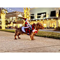 Miniatyrbild 3 av 8: Juldräkter för husdjur Tomte Riddräkt Renväxlare Juldräkter för husdjur Red and black XL chest size adjustable 64-80cm