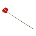 Miniatyrbilde 3 av 4: 3D-simulering av Flamingo Anthurium Blomsterbuketter for Stueoppsett