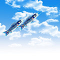 Miniatyrbild 3 av 5: 1 st Fish Windsock Carp Windsock Fish Flag blue